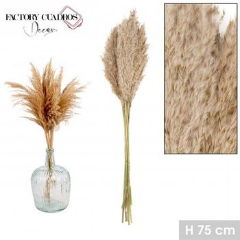 Pampa Naturla Decoración 75cm (10 Piezas)