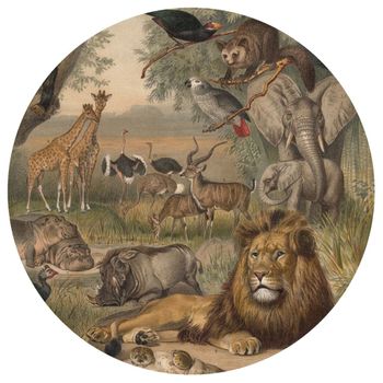 Círculo De Papel Pintado Animals Of Africa 190 Cm Wallart