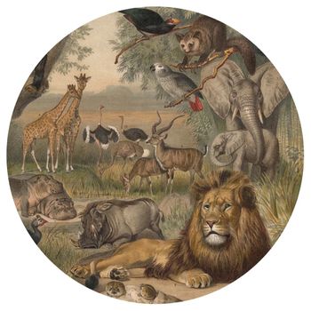 Papel Pintado De Pared Redondo Animals Of Africa 142,5 Cm Wallart