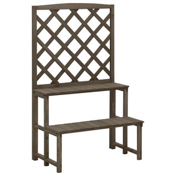 Soporte De Plantas Y Enrejado Madera De Abeto Gris 70x42x115 Cm Vidaxl