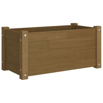 Jardinera De Madera Maciza De Pino Marrón Miel 60x31x31 Cm Vidaxl