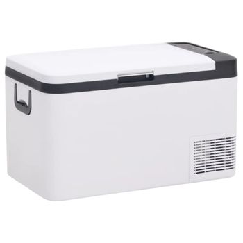 vidaXL Nevera Termoeléctrica Portátil 20L con Adaptador de Corriente 12V/230V  20L Gris/Blanca, PcCo