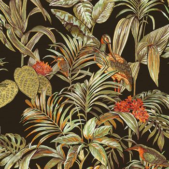 Papel De Pared Bird-of-paradise Negro Dutch Wallcoverings