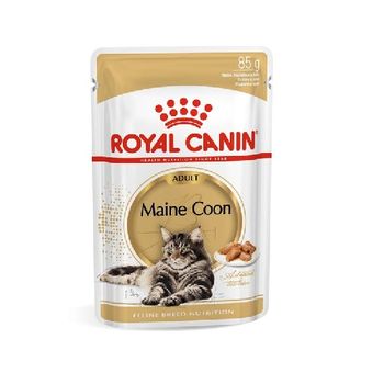 Alimento Húmedo Royal Canin Maine Coon Paté, Caja 12 Sobres X 85 Gr