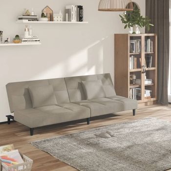 Sofá Cama De 2 Plazas Moderno | Cama Para Adulto Con Dos Almohadas Terciopelo Gris Claro Cfw77642