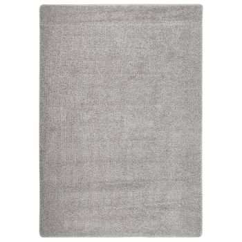 Alfombra De Dormitorio | Felpudo | Alfombra Peluda Antideslizante Gris Claro 160x230 Cm Cfw731196