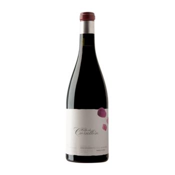 Descendientes J. Palacios Vino Tinto Villa De Corullón Bierzo Botella Especial 5 L 14% Vol.