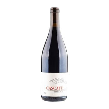 Dominio Do Bibei Vino Tinto Cascayu Ribeira 75 Cl 13.5% Vol.