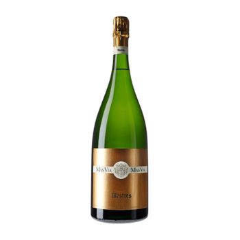 Mestres Mas Via Cava Gran Reserva Botella Magnum 1,5 L 12% Vol.