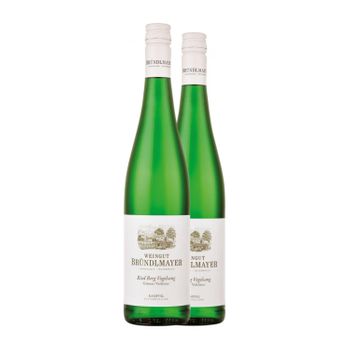 Bründlmayer Vino Blanco Grüner Veltliner Berg Vogelsang Kamptal 75 Cl 12% Vol. (pack De 2 Unidades)