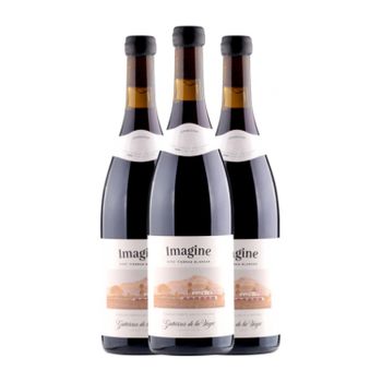 Gutiérrez De La Vega Vino Tinto Imagine Alicante 75 Cl 13% Vol. (pack De 3 Unidades)