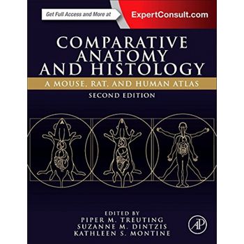 Comparative Anatomy And Histology