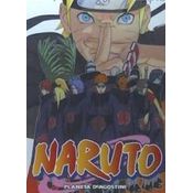 Naruto 41