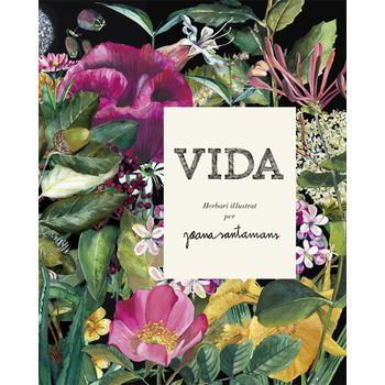 Vida