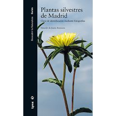 Plantas Silvestres De Madrid