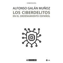 Los Ciberdelitos En El Ordenamiento Español