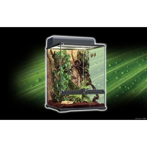 Kit terrario Exo-Terra Serpiente Starter