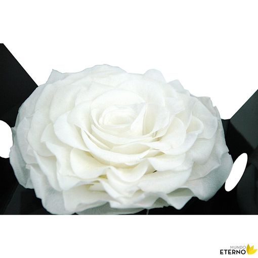 Rosa Eterna Preservada De Color White Shadow 55cm con Ofertas en Carrefour