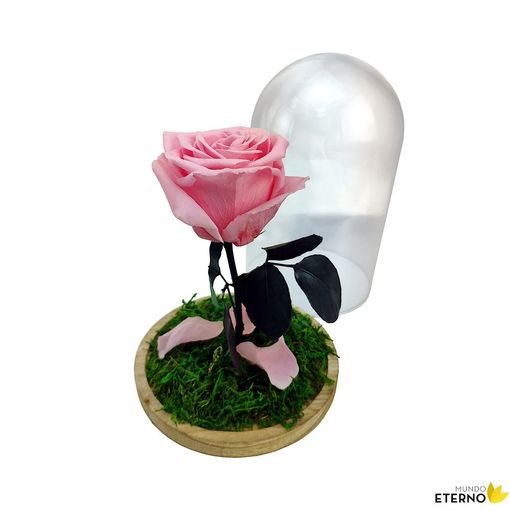 Rosa Eterna Preservada De Color Rosa Pastel Cúpula con Ofertas en Carrefour  | Las mejores ofertas de Carrefour