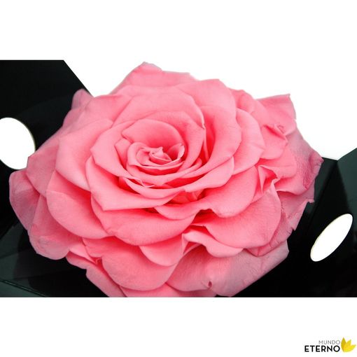 Rosa Eterna Preservada De Color Rosa Pastel King con Ofertas en Carrefour