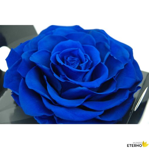 Rosa Eterna Preservada De Color White Shadow 55cm con Ofertas en Carrefour