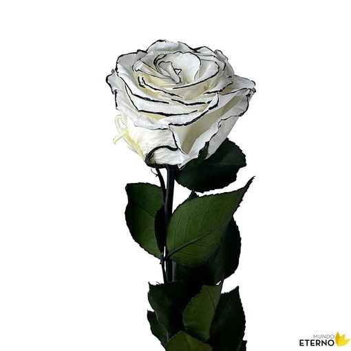 Rosa Eterna Preservada De Color White Shadow 55cm con Ofertas en Carrefour