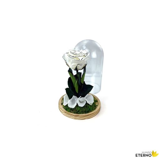 Rosa Eterna Preservada De Color White Shadow 55cm con Ofertas en Carrefour