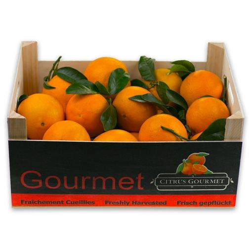 Caja De Naranjas Navelina De Valencia. Premium 10 Kg