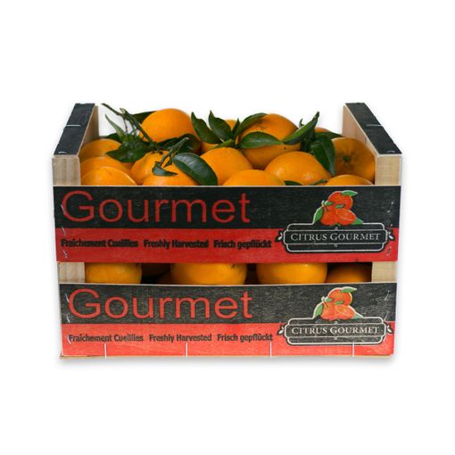 Caja De Naranjas Navelina De Valencia. Premium 20 Kg
