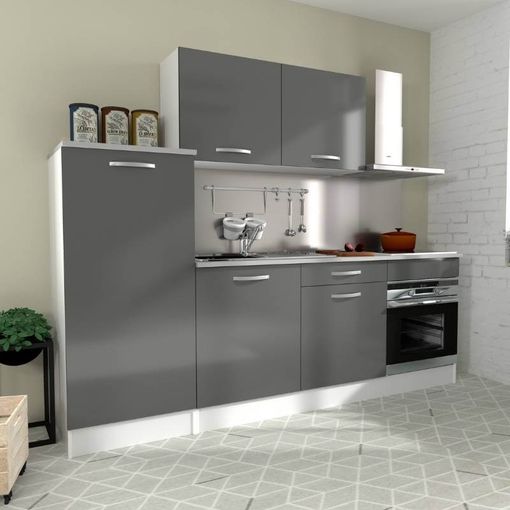 Armario Columna Modular 60 Cm Para Cocina Eko Color Gris Brillo 1