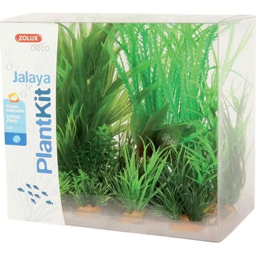 omitir patrocinado Instruir Kit De 6 Plantas Artificiales Jalaya N1 - Para Acuario Zolux con Ofertas en  Carrefour | Ofertas Carrefour Online