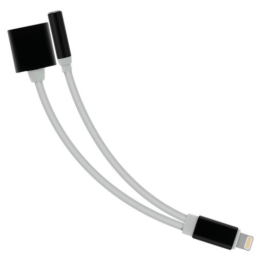 Adaptador Lightning Hembra Usb C Carga Y Sincronización - Plateado con  Ofertas en Carrefour