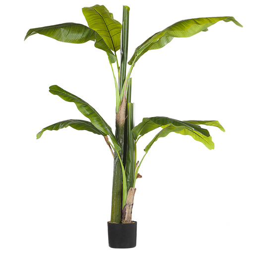 Planta Artificial En Maceta Verde Y Negro Material Sintético 154 Cm Accesorio Decorativo Para Interior Banana Tree - Verde
