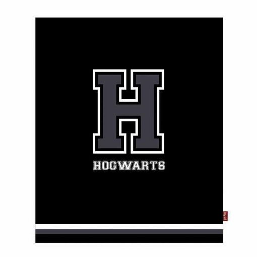 Manta de Harry Potter - Hogwarts