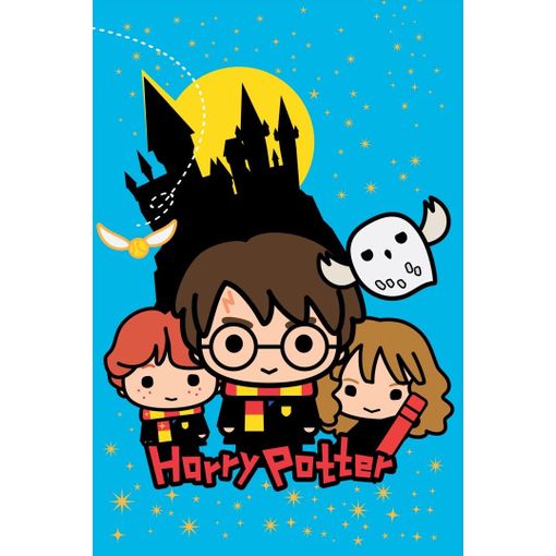 Manta de Harry Potter, 50 x 60 pulgadas, póster de película de sherpa de  tacto sedoso, manta súper suave