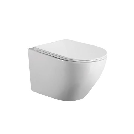 Wc Inodoro Suspendido Empotrado Rimless Blanco Brillo