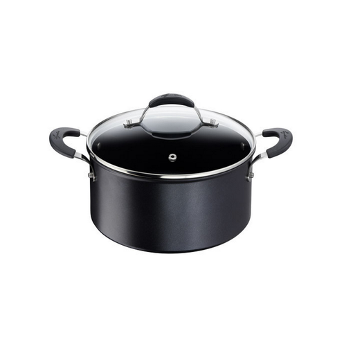 Lagostina Olla Antiadherente Con Tapa De 24 Cm. - 012165031224 con Ofertas  en Carrefour