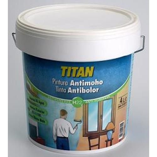 Pintura Antihumedad Antimoho Para Interior