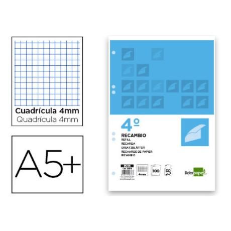 Recambio liderpapel a4 100 hojas 100g/m2 cuadro 4mm