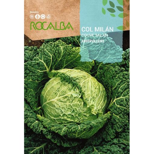 Rocalba Semilla Col Milan Aubervilliers 100g
