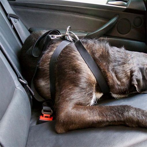 ARNÉS CON CINTURÓN DE SEGURIDAD PERRO COCHE