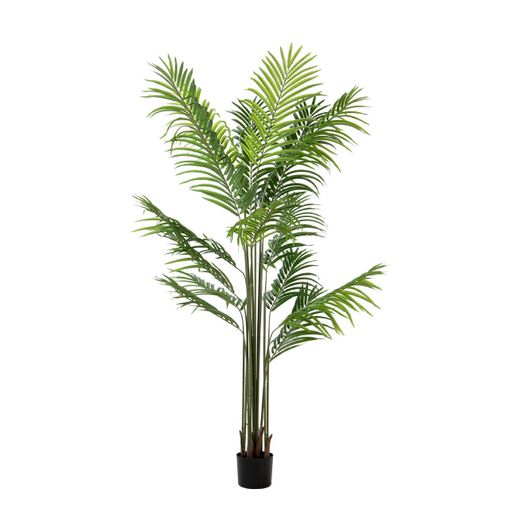 Arbol Kwai Con Maceta 103x80x166 Cm