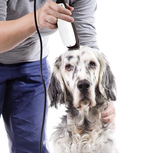 Maquina Cortar Pelo Perros Cortadora Canina Cortapelo Uñas