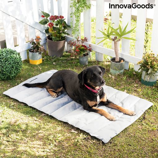 Cama Portátil Impermeable Para Mascotas Huismat Innovagoods con Ofertas en  Carrefour