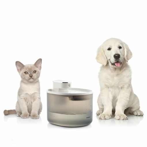 Fuente Para Gatos Recargable Con Sensor Refopet Innovagoods con Ofertas en  Carrefour