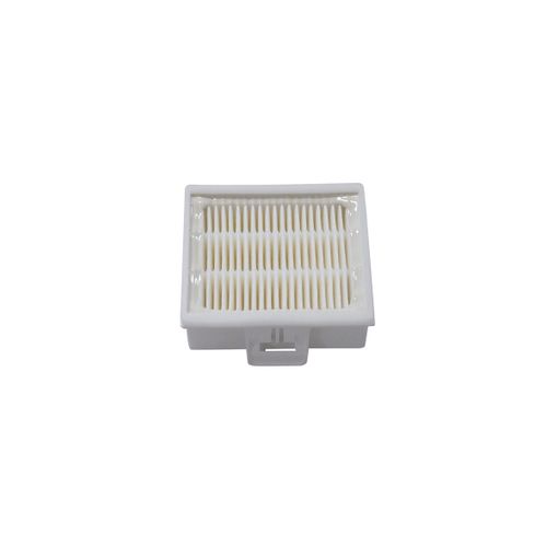 Filtro Hepa Aspirapolvere Bosch 00578731 Originale