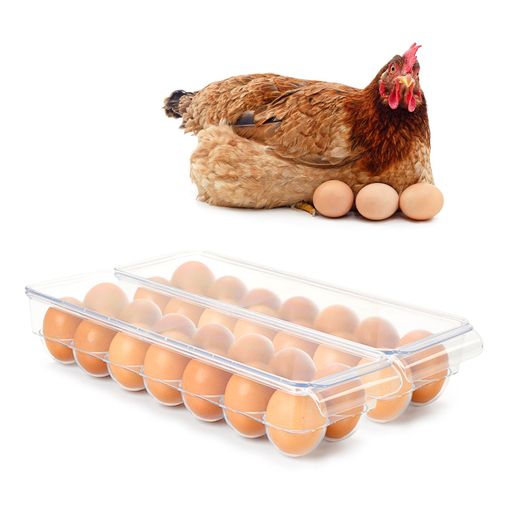 Plastic Forte - Pack de 2 Hueveras de Plástico para 12+12 Huevos con Tapa.  Beige