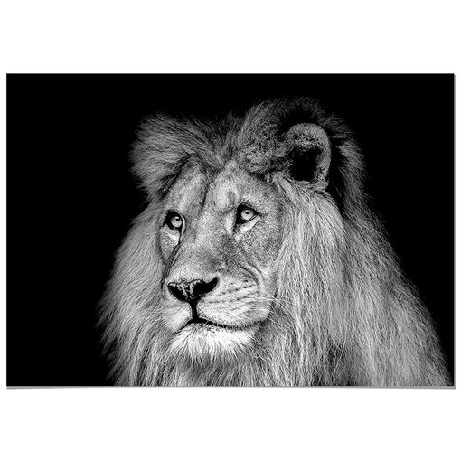 Panorama Lienzo León Africano 35x50cm - Impreso En Lienzo De Alta Calidad  Con Bastidor - Poster De Animales - Cuadros De Animales Decorativos -  Cuadros De Salón Modernos con Ofertas en Carrefour