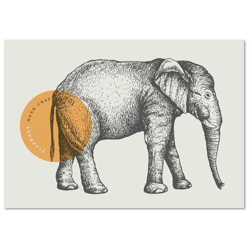 Panorama Lienzo León Africano 21x30cm - Impreso En Lienzo De Alta Calidad  Con Bastidor - Poster De Animales - Cuadros De Animales Decorativos -  Cuadros De Salón Modernos con Ofertas en Carrefour