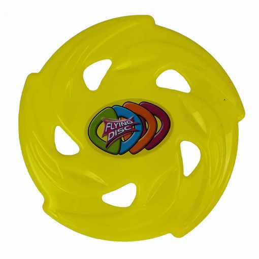 Frisbee Outdoor Toys 24 Cm